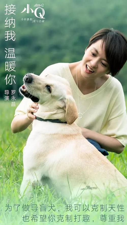 代办香港